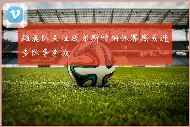 雄鹿队关注迈尔斯特纳休赛期或迎多队争夺战